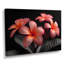 Neumann - Plumeria Wall Art Living Room-106147115-134346678