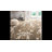 Ellyona Shag Performance Floral Rug-17572147