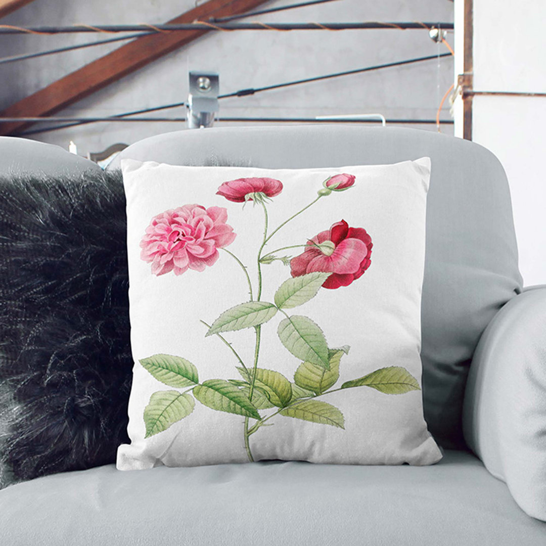 China Roses by Pierre-Joseph Redoute Cushion with Filling