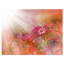«Little Red and Pink Flowers Spring», reproduction de photo sur toile tendue-19241367