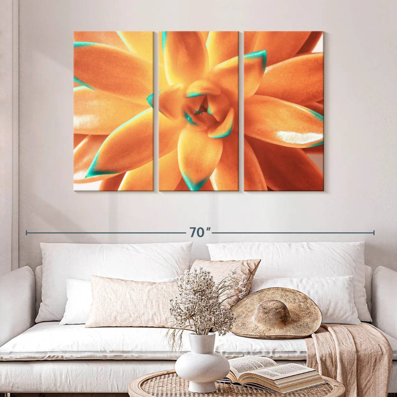 Plante grasse orange Harnek, H 32 po x l 50 po