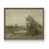 Noyer