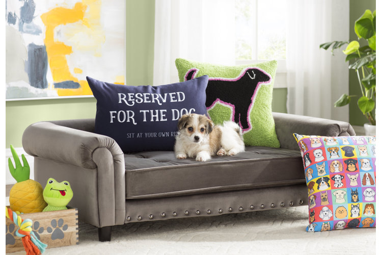 small puppy laying on a dog sofa in a green living room