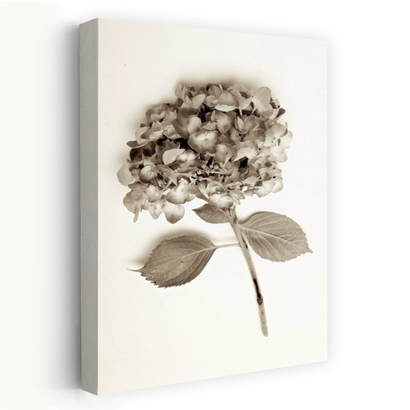 Garden Bloom # 2 - Photographie d'art, H 24 po x l 16 po