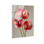 Crimson Silk Veins II Print-1489135774-1466904459