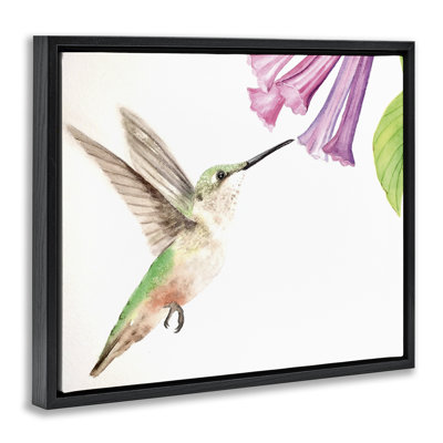 Cadre flottant colibri et jacinthe des bois, design par Stephanie Fielden