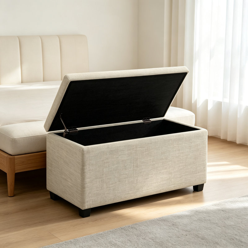Shoe Storage Box