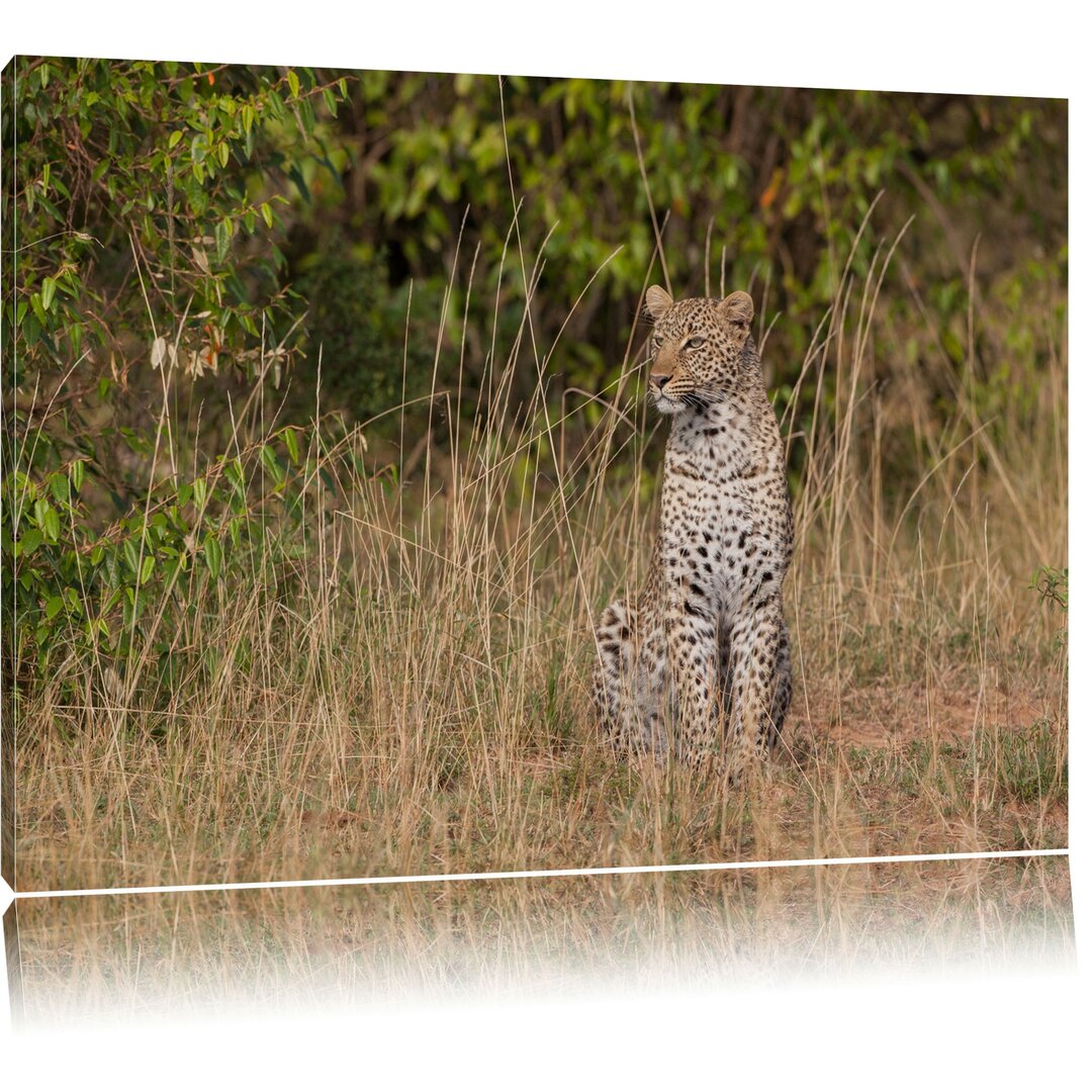 Leinwandbild Anmutiger Leopard im hohen Gras