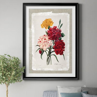 Botanical Bouquet Carnations - Reproduction d'art graphique sur papier encadré