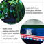 Aquarium 27,56 po-890120676-890120674