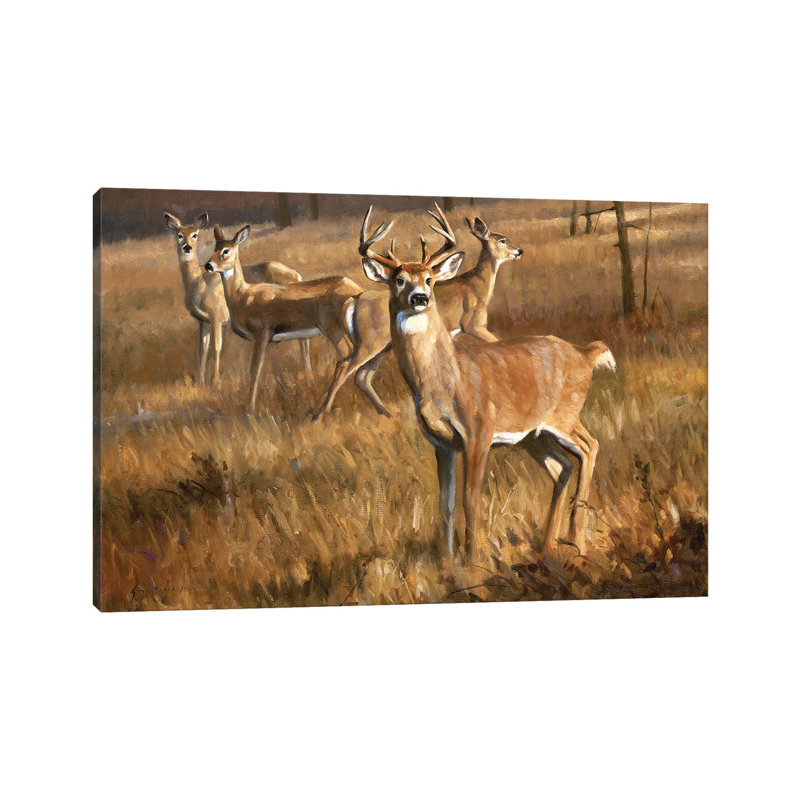 Whitetail Deer by Grant Hacking - No Frame Gallery-Wrapped Canvas Giclée on Canvas, 66.04cm H x 101.6cm W