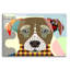 «Jack Russell» par Lanre Adefioyue-1752661993