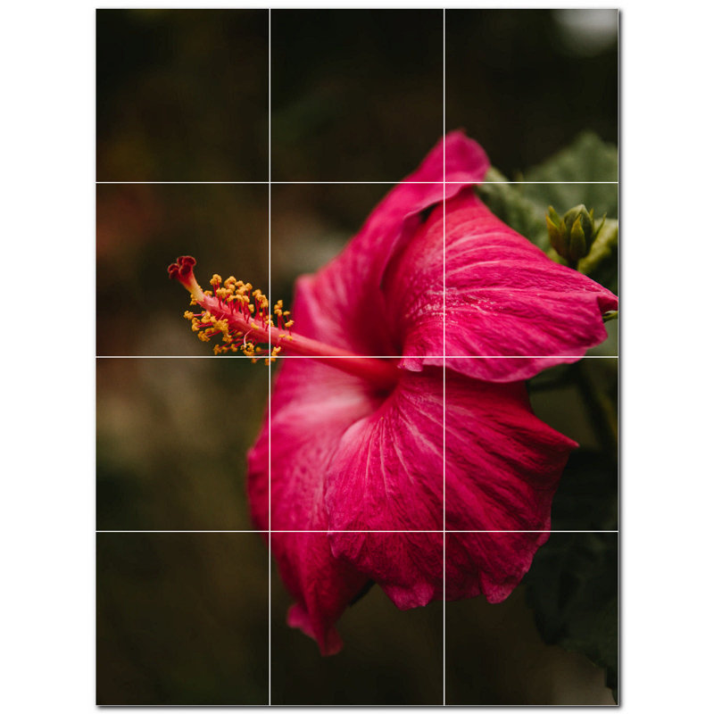 12 x 12