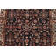 Dester Hand Knotted Wool Oriental Indoor Rug