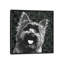 « yorkie », impression sur toile-31855491-73208694-73197991