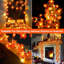 Guirlande de lumières érable-14698009-14698006