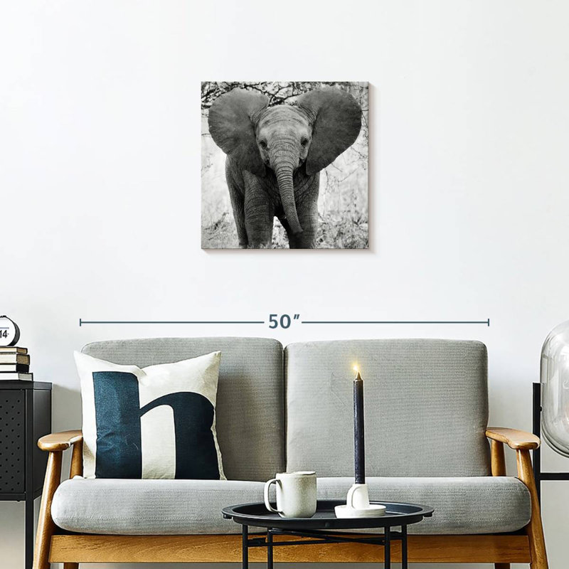 Drôle d'éléphant d'Afrique Brampt, H 20 po x l 20 po