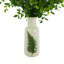 Nandina Maitland biologique moderne disposée dans un vase à feuilles en céramique
