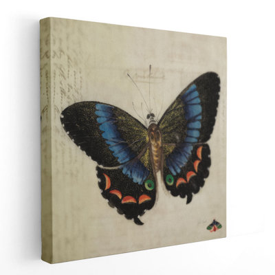 «Vintage Blue Butterfly», reproduction d'art sur toile