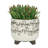 S/2 Ceramic 6/8" Scribble Footed Planter