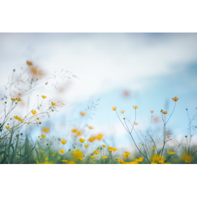Summer Meadow by Borchee