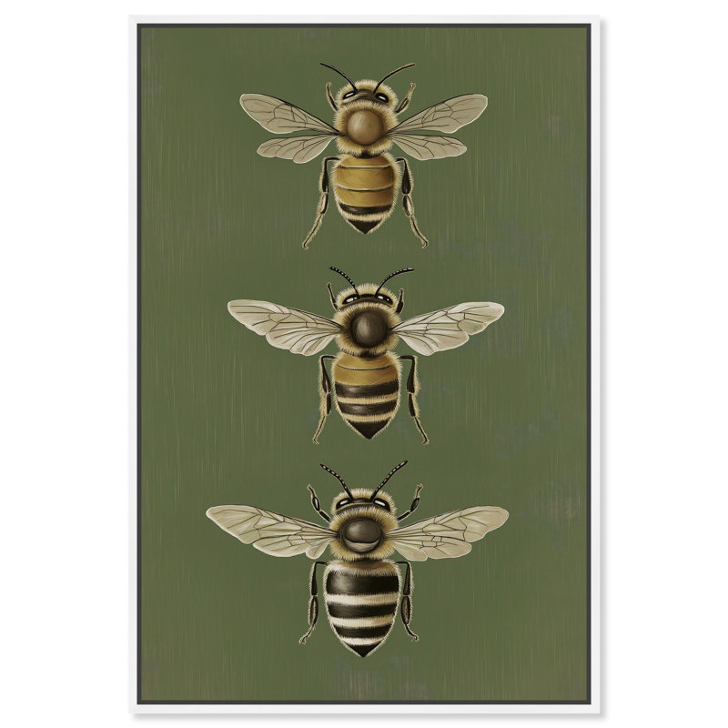 Anatomie de l'abeille , H 46 po x l 31 po, Cadre blanc