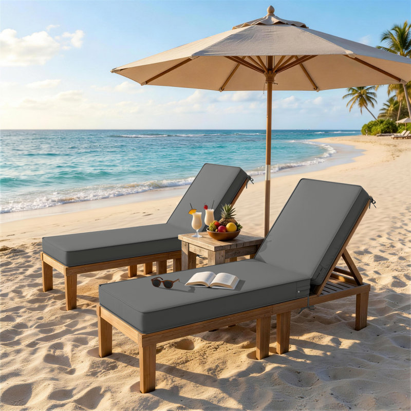 Wynee Outdoor 4'' Chaise Lounge Cushion, 25.8" W x 79.75" D, Light Gray