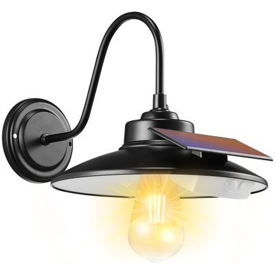 Ampoule Edison de 1,1 W avec éclairage à col de cygne et ampoule Edison