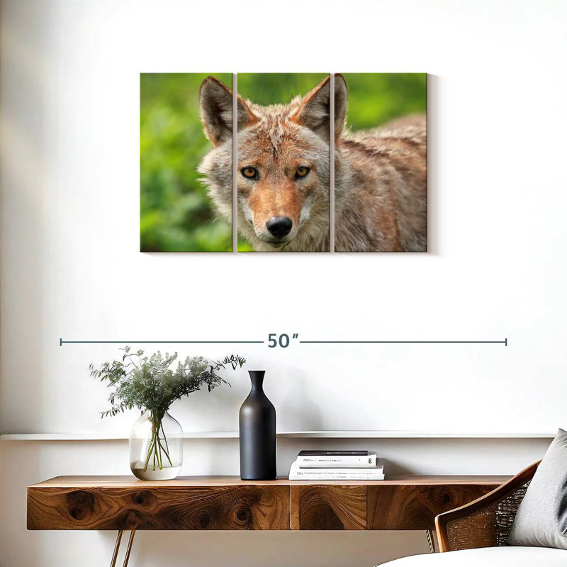 Face Of Coyote