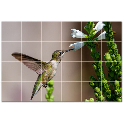 Bird Photo 12'' x 12'' Satin Ceramic Decorative Mural