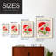 Impression florale vintage encadrée Cxxxi - bois massif-112350183-112350178