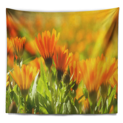 Tapisserie florale orange à fleurs de souci dans la lumière du soleil