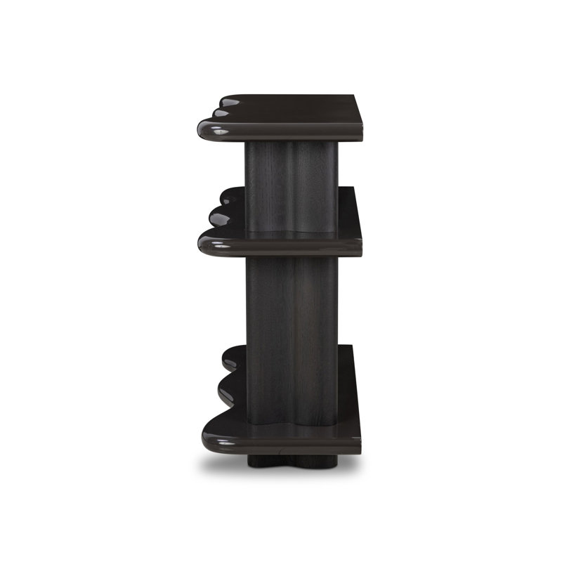 Salton Bookshelf-Worn Black Oak