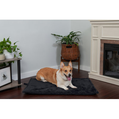 Polyester Pet Bed