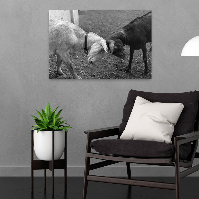 A Black & A White Goat Butting Heads Classic Retro Vintage Animal Landscape Wall Art, H 16 po x l 24 po