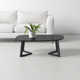 Fischer Solid Wood Coffee Table