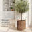 Round Storage Basket-1096241320