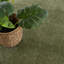 Tapis vert peluche Wolcottville Performance-8939129