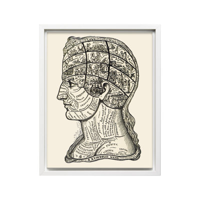 A Symbolic Head, Phrenology Diagram