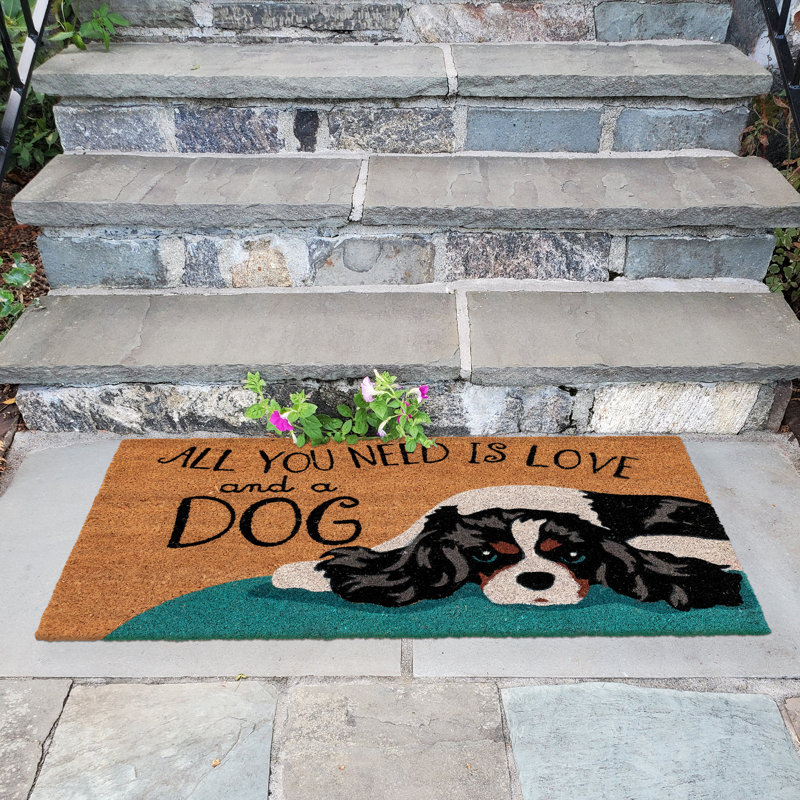 Tapis d'entrée pour l'extérieur 30 po x 18 po Everlee, Rectangle 2 pi x 3 pi
