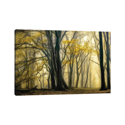 In Love With Golden Fall by Lars Van De Goor - Wrapped Canvas Print
