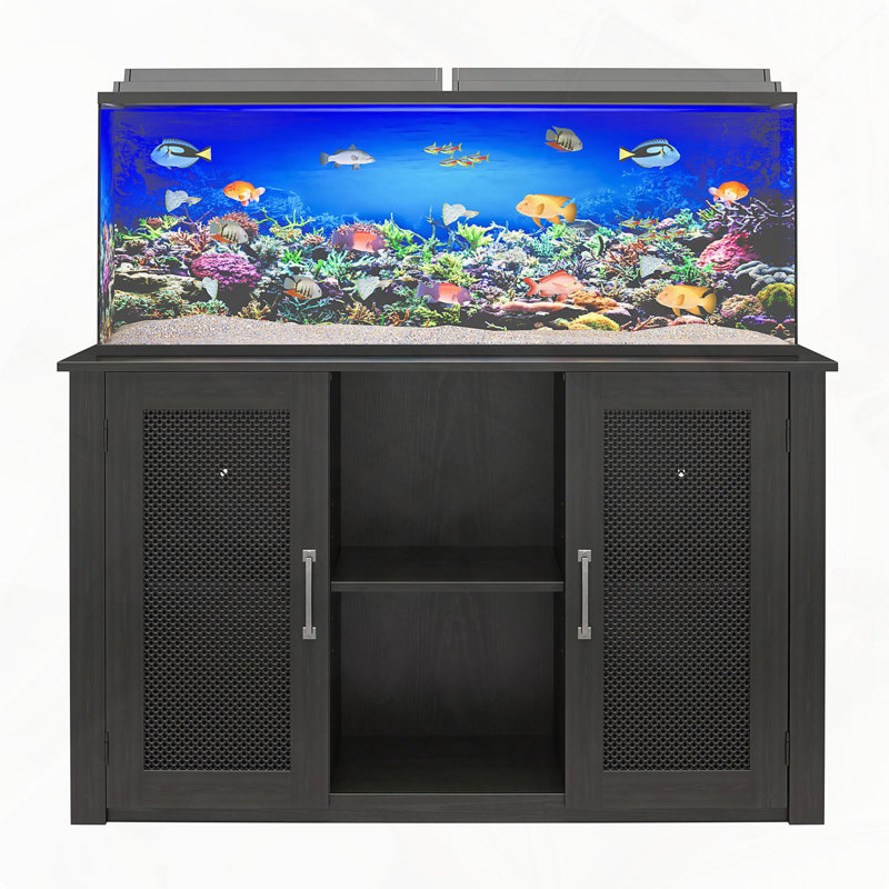 Aquarium Terrarium Support fiable et élégant pour aquatique