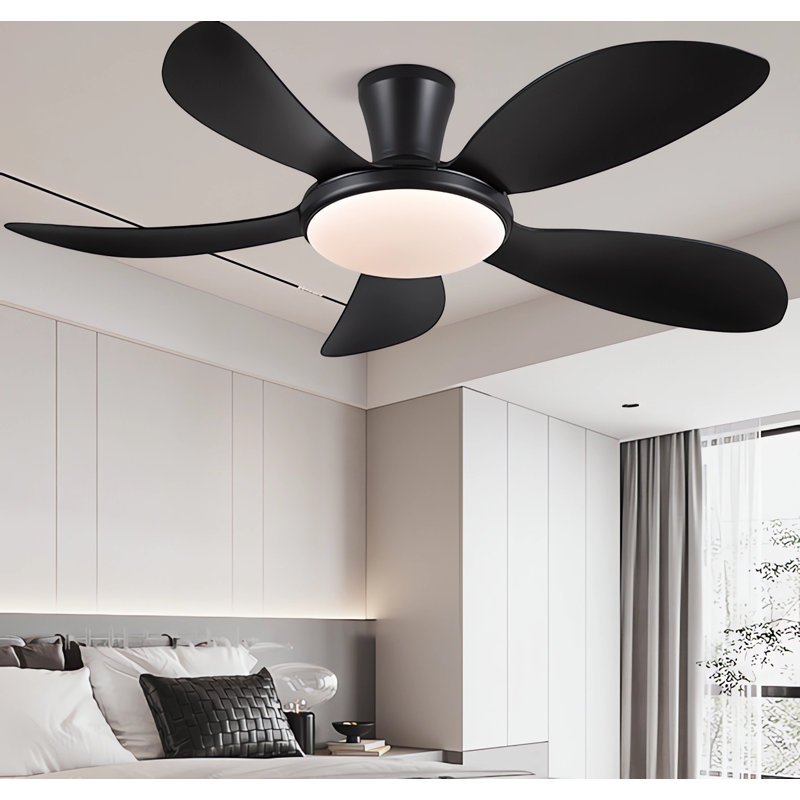 48 Inch 5-blade Modern Low Profile Ceiling Fans With Lights And Remote/app, Black