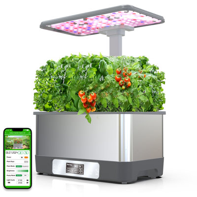 Wifi et application jardin intérieur, ensemble de système de culture hydroponique, boîte de jardinage 8 plantes avec plantes
