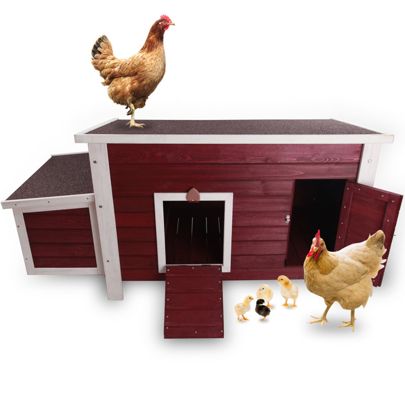 Poulailler avec nichoir 10,65 pieds carrés Cerine, Rouge