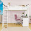 Queen Loft Bed With Desk, Shelf And USB