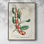 «Turpin Tropical Botanicals», reproduction encadrée en bois massif-1488420038