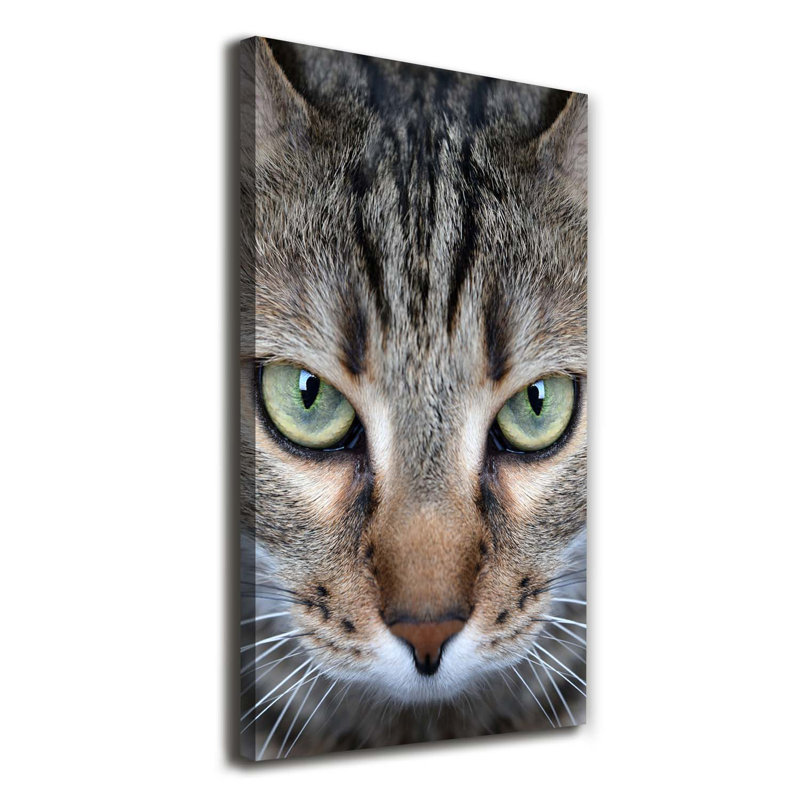 Cat's Eyes - Wrapped Canvas Print, 120cm H x 60cm W