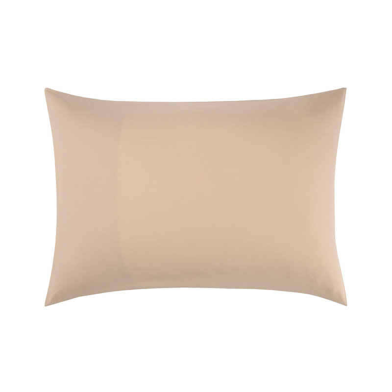 Apollon Sham, Dune, Standard