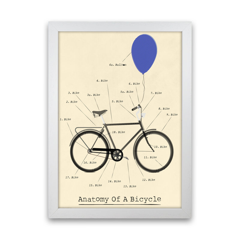 Anatomy 1 Piece Wall Art, 42cm H x 30cm W x 3cm D, White Framed